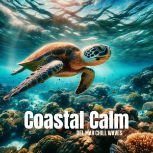 Coastal Calm: Del Mar Chill Waves - Del Mar Chill Music Club