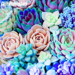 Chill Atmosphere - Musique du Matin