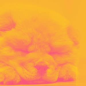 Alto Sax Solo - Music for Doggy Nap Spaces - Good Dog Music