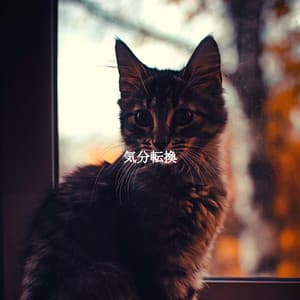 気分転換 - Reading Music Deluxe