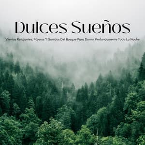 Dulces Sueños: Vientos Relajantes, Pájaros Y Sonidos Del Bosque Para Dormir Profundamente Toda La Noche - NatuREM