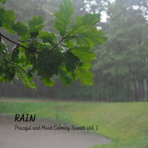 Rain: Peaceful and Mood Calming Sounds Vol. 1 - The Relaxation Hub