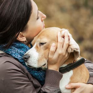 Theta Dog Melodies: Binaural Harmony for Tranquil Companionship - Binaural Beast