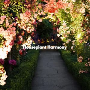 Houseplant Harmony - Summer Jazz Relax