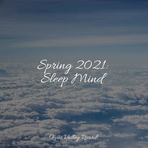Spring 2021: Sleep Mind - Calming Sounds