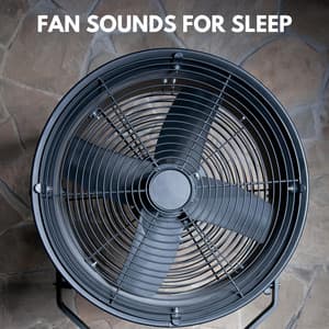 Fan Sounds for Sleep - Lavavajillas