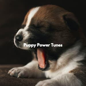 Puppy Power Tunes - Alegre Musica para Leer