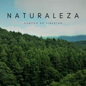 Naturaleza: Campos De Libertad - Música Instrumental Maestro