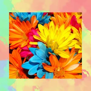 Music for Classy and Coffee - Jazz Instrumental Songs Cafe