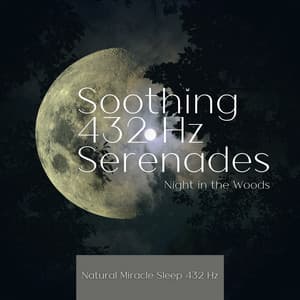 Soothing 432 Hz Serenades: Night in the Woods - Natural Miracle Sleep