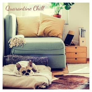 Quarantine Chill - Meeresrauschen