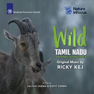 Wild Tamil Nadu - Original Soundtrack - Ricky Kej