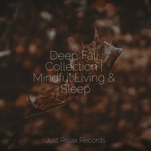 Deep Fall Collection | Mindful Living & Sleep - Bedtime Baby