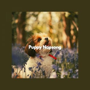 Puppy Napsong - Relaxing Dog Music Classics