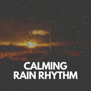 Calming Rain Rhythm - Sounds of Rain