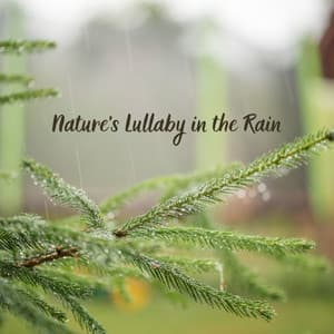 Nature's Lullaby in the Rain - Rain Recorders