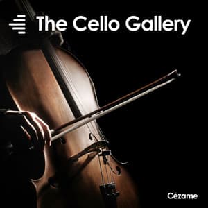 The Cello Gallery - Timothée Couteau