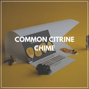 Common Citrine Chime - Guitar