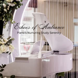 Echoes of Ambiance: Piano's Nurturing Study Serenity - Jazz Piano Instrumentals