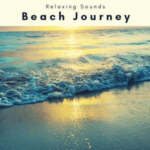 1 Beach Journey - Waves Hard