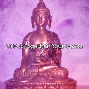 78 Put Together Your Peace - White Noise Meditation