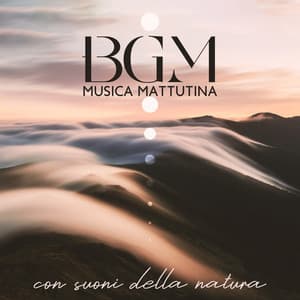 BGM Musica mattutina con suoni della natura: 1 ora di musica molto rilassante per alleviare lo stress - Rilassamento Musica Zona