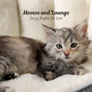 Meows and Lounge: Jazzy Jingles for Cats - Jazz for Hotel Lobbies