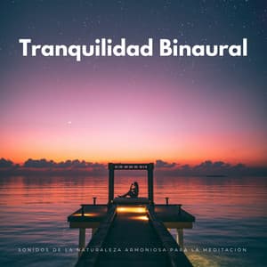 Tranquilidad Binaural: Sonidos De La Naturaleza Armoniosa Para La Meditación - Armonía de Reiki