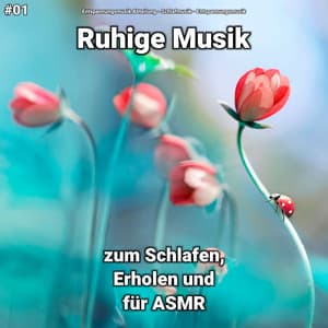 #01 Ruhige Musik zum Schlafen, Erholen und für ASMR - Entspannungsmusik Abteilung