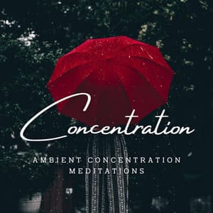 Rainy Focus: Ambient Concentration Meditations - Rain Rec.