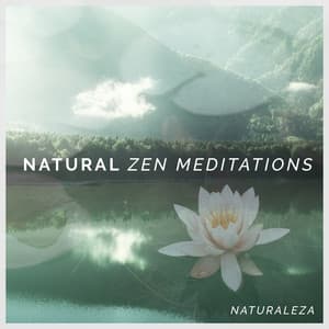 Natural Zen Meditations - Naturaleza