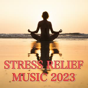 Stress Relief Music 2023 - Focus Study