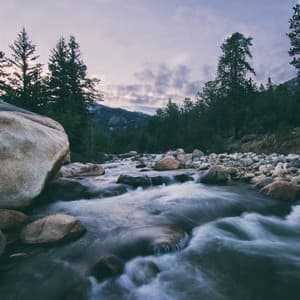 Rippling Resonance: Creek and Birds for Harmonious Meditation - Sound of the Wilderness