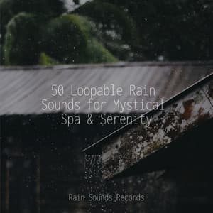 50 Loopable Rain Sounds for Mystical Spa & Serenity - Meditation
