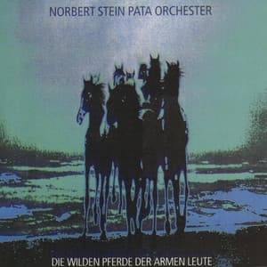 Die wilden Pferde der armen Leute - Norbert Stein