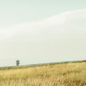 1 Ambient: Finding Om - between waves