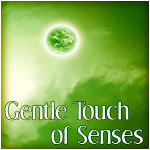 Gentle Touch of Senses – Soft New Age Sounds, Soothing Music, Inner Peace, Deep Relaxing Music - Dreamer Chill Out Sanctuary