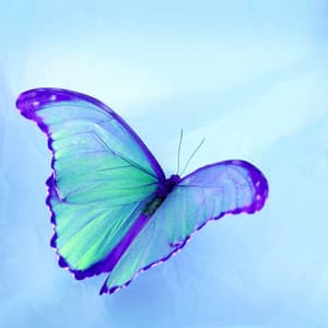 Echoes of New Moods - Summer Jazz Relax