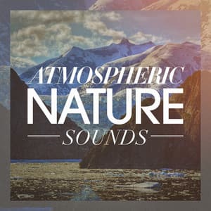 Atmospheric Nature Sounds - Nature Sound Collection