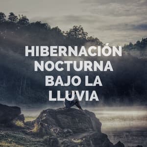 Hibernación Nocturna Bajo La Lluvia - Grabadora Lluvia