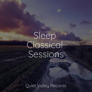 Sleep Classical Sessions - Deep Sleep Brown Noise