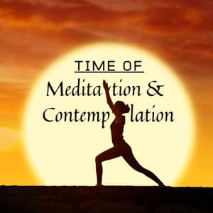 A Time of Meditation & Contemplation. Relax to the Sounds of Nature, Feel the Freedom & Freedom of Your Thoughts - Natural Sleep Aid Music Zone