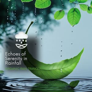 Echoes of Serenity in Rainfall - Organic Rain Tranquility