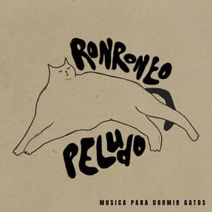 Ronroneo Peludo - Música para dormir Gatos
