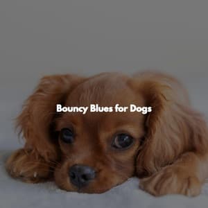 Bouncy Blues for Dogs - Classy Dinner Music