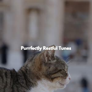 Purrfectly Restful Tunes - Jazz Alegre para Hoteles