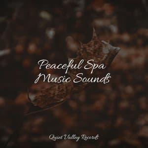 Peaceful Spa Music Sounds - Ambient Arena