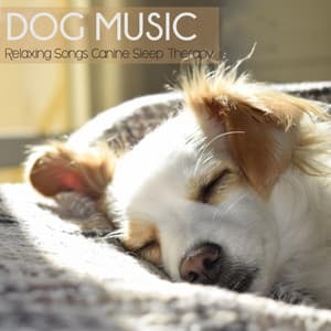 Dog Music: Relaxing Songs for Canine Sleep Therapy - Dog Music Waves