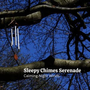 Sleepy Chimes Serenade: Calming Night Winds - Nature Radiance