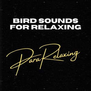 Bird Sounds For Relaxing - Bird Sounds